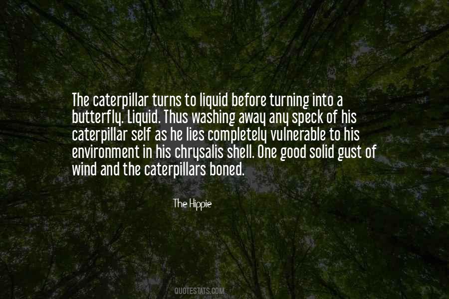 Quotes About A Caterpillar Turning Into A Butterfly #542539