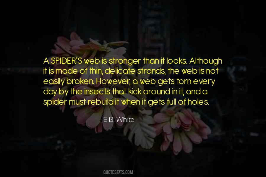 Spider Web Quotes #119765