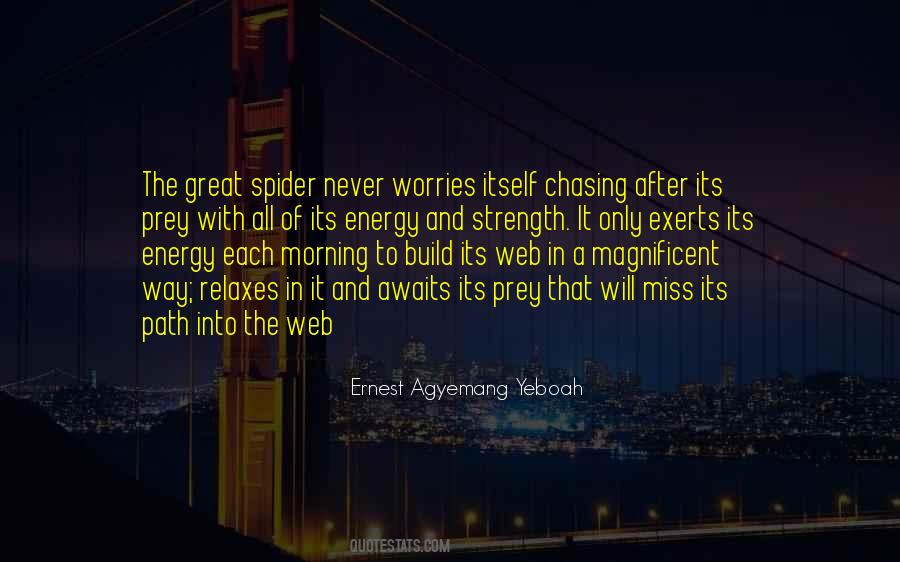 Spider Web Quotes #616621