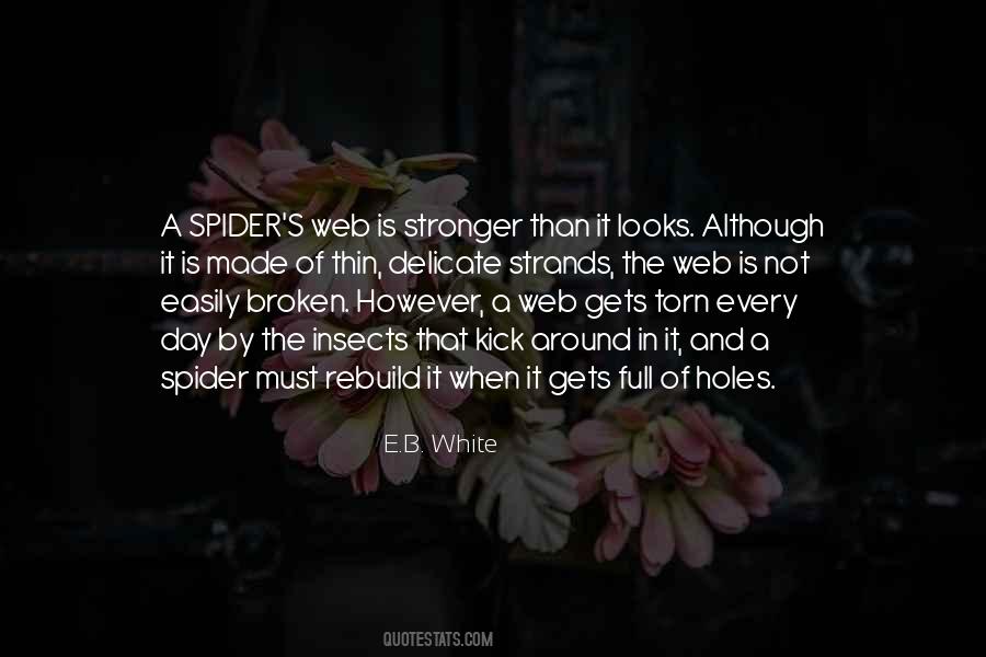 Spider's Web Quotes #119765