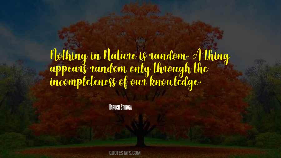 Spinoza's Quotes #109630