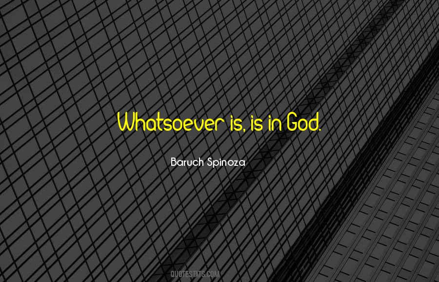 Spinoza's Quotes #49848