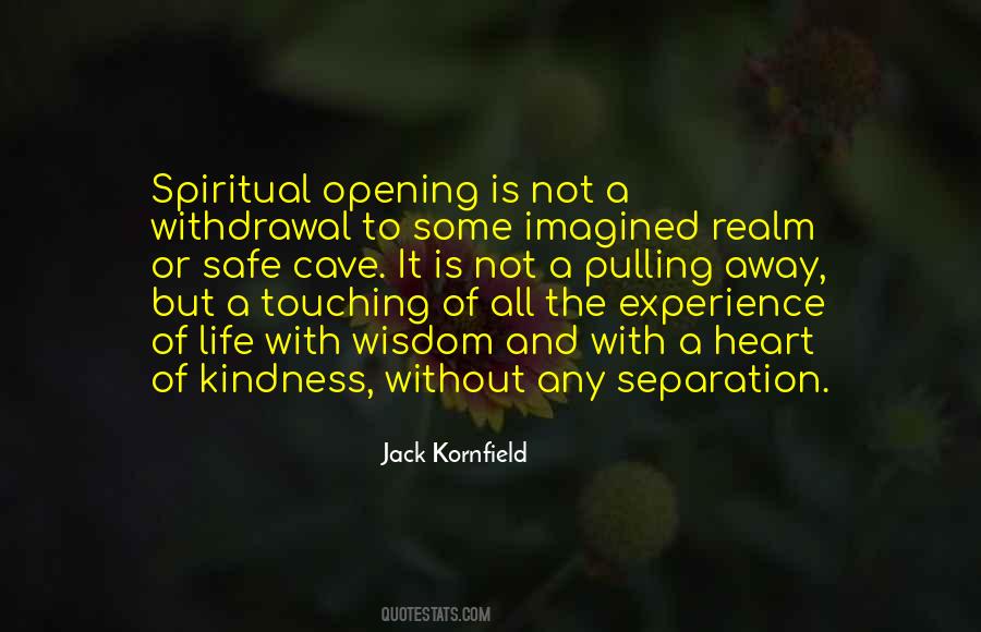 Spiritual Realm Quotes #1260601