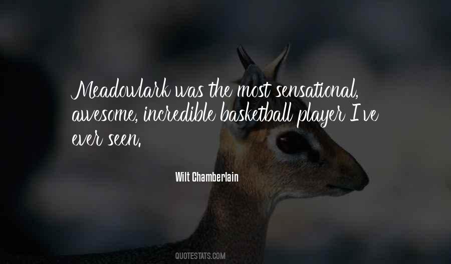 Quotes About Wilt Chamberlain #408011