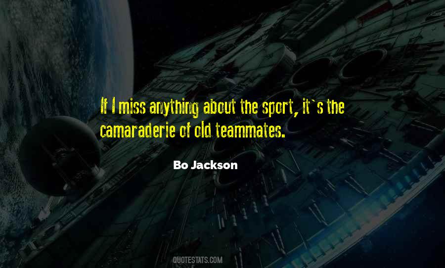 Sports Camaraderie Quotes #1466310