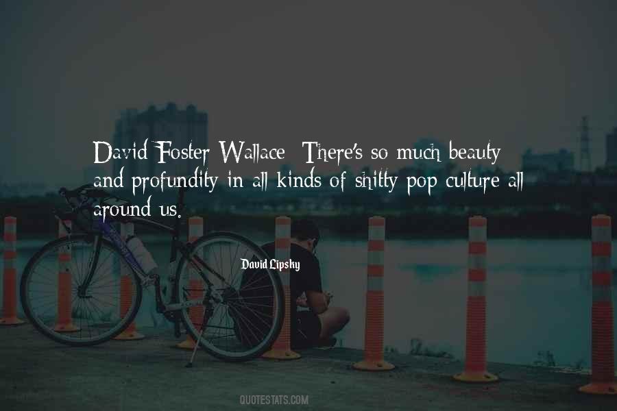 Quotes About David Foster Wallace #861353