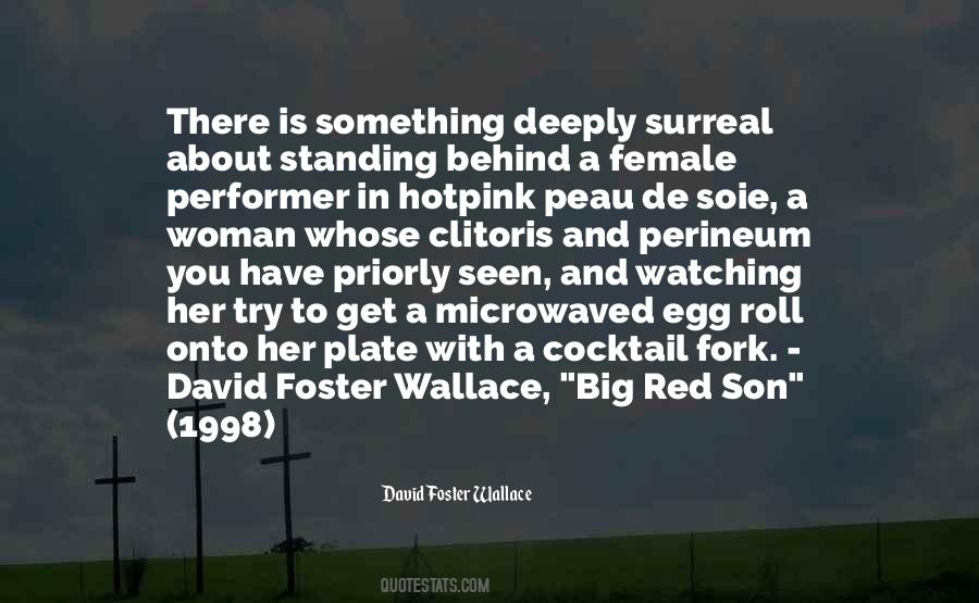 Quotes About David Foster Wallace #930141