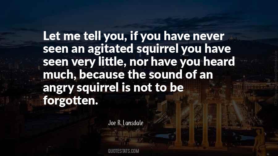 Squirrel Quotes #502756