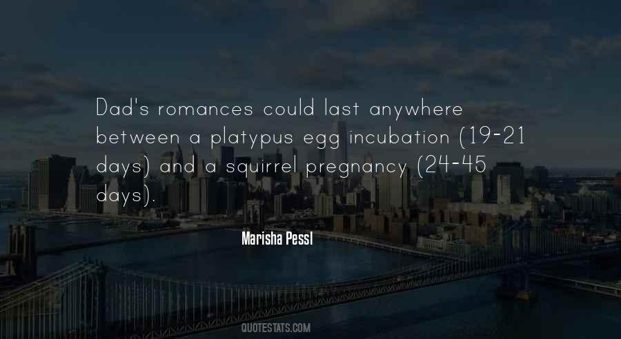 Squirrel Quotes #767938