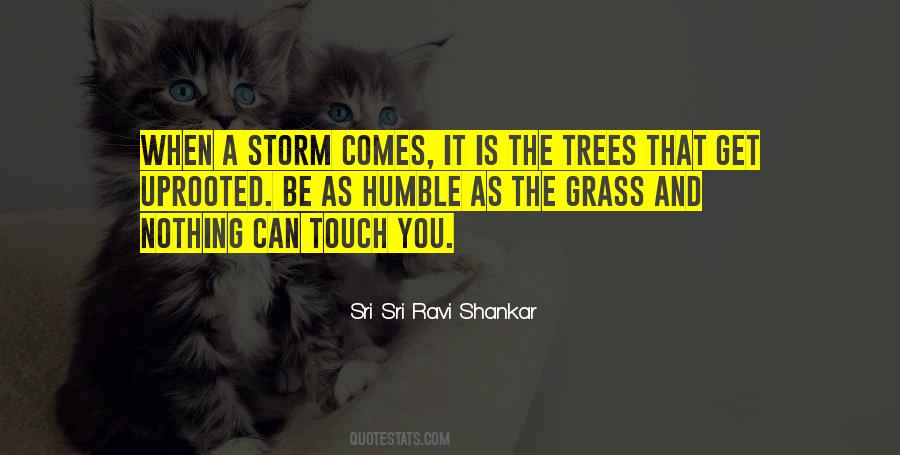 Sri Ravi Shankar Quotes #488503