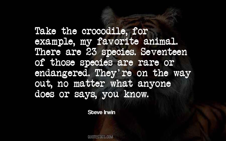 Quotes About Steve Irwin #1576401