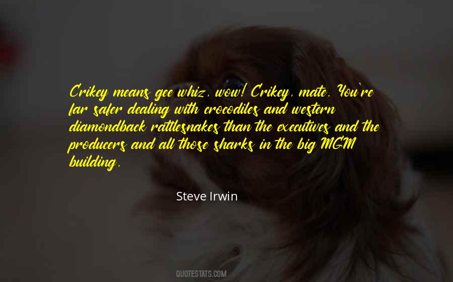 Quotes About Steve Irwin #1760618
