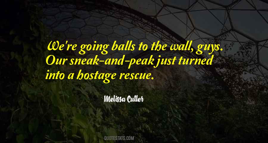 Quotes About Balls To The Wall #1209500