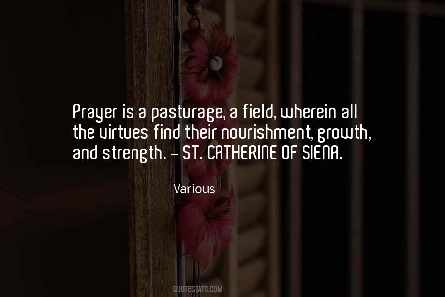 St Catherine Quotes #898491