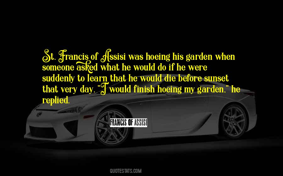 St Francis Quotes #276302