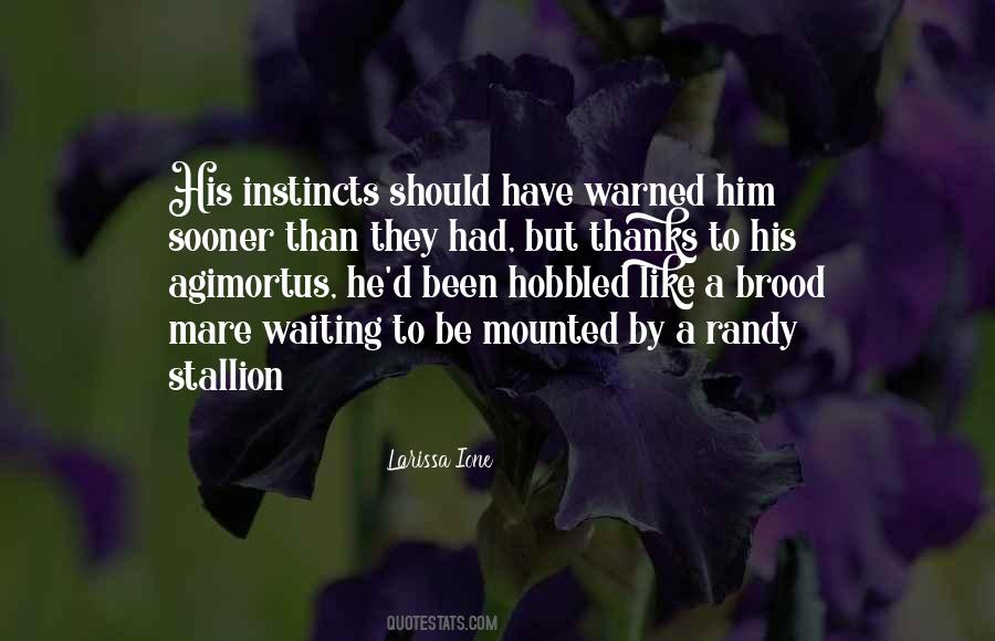 Stallion Quotes #1565131