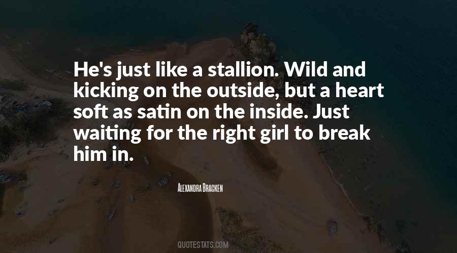 Stallion Quotes #857981