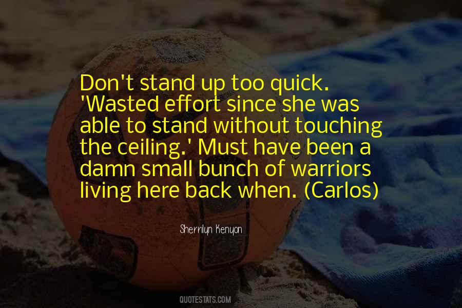 Stand Back Up Quotes #291501