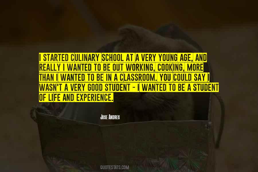 Quotes About Student Experience #653290