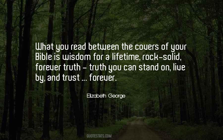 Stand Like A Rock Quotes #1683528