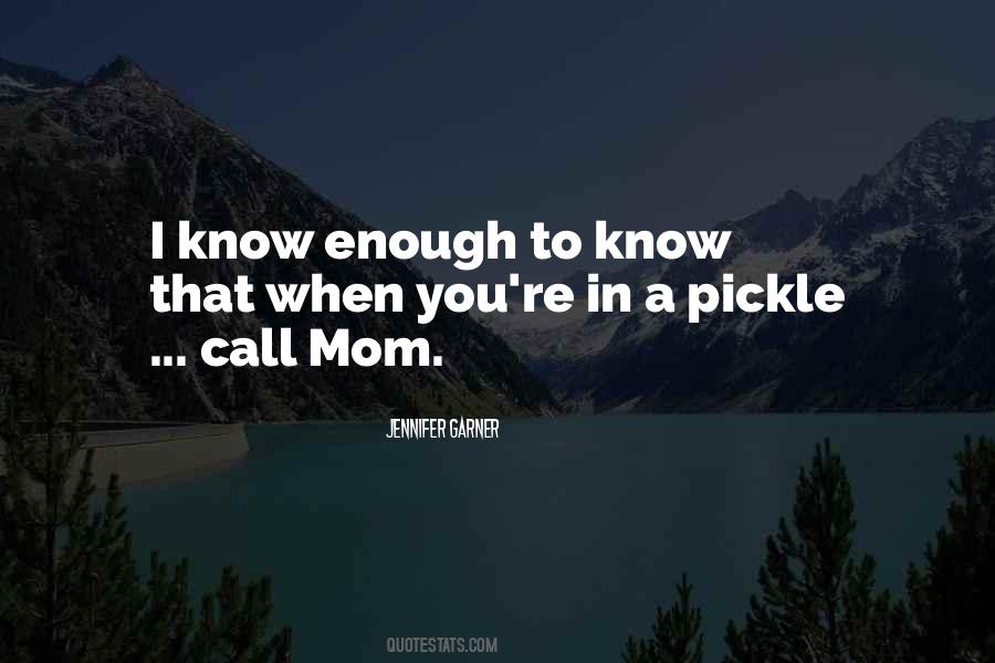 Quotes About Pickles #29864