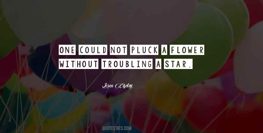 Star Flower Quotes #56500