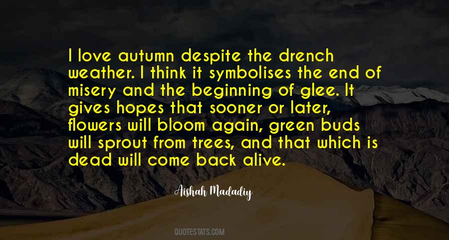Quotes About Autumn Weather #1616878
