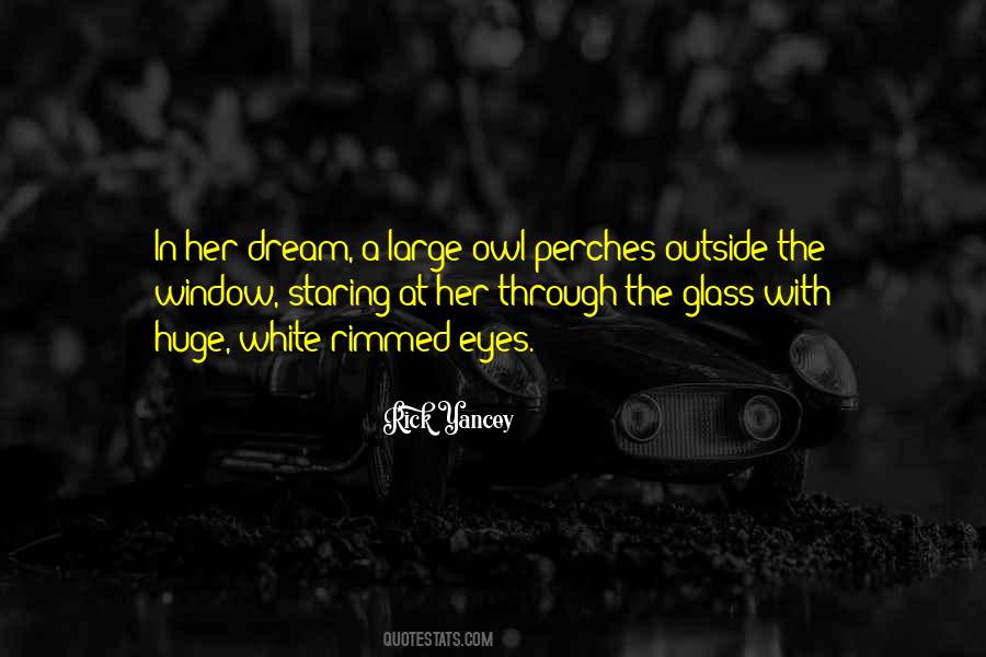 Staring Into Her Eyes Quotes #3782