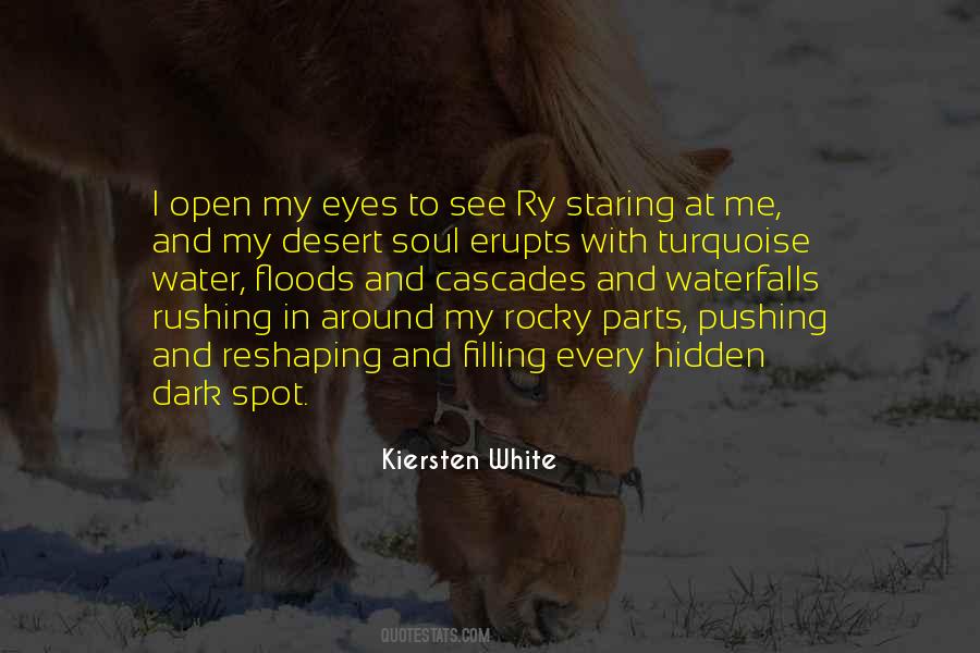 Staring Into His Eyes Quotes #443223