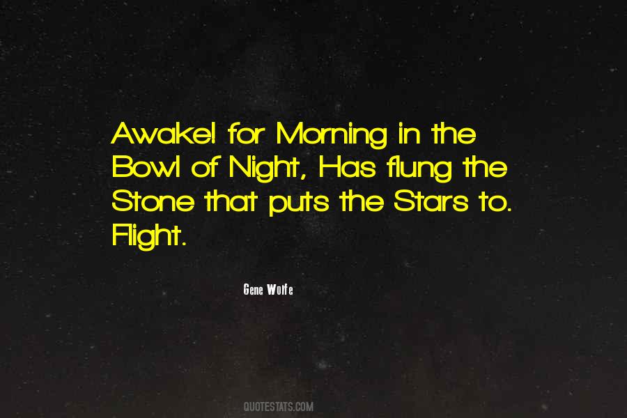 Stars In The Night Quotes #308434