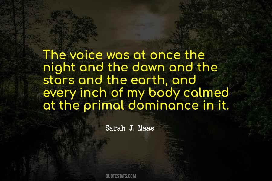 Stars In The Night Quotes #427646