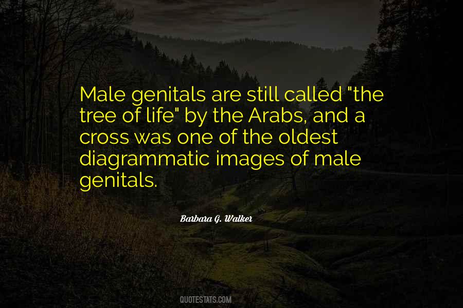 Quotes About Arabs #1367717