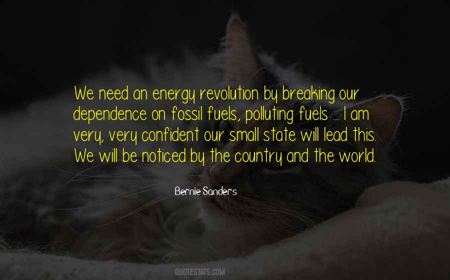 State And Revolution Quotes #1168826