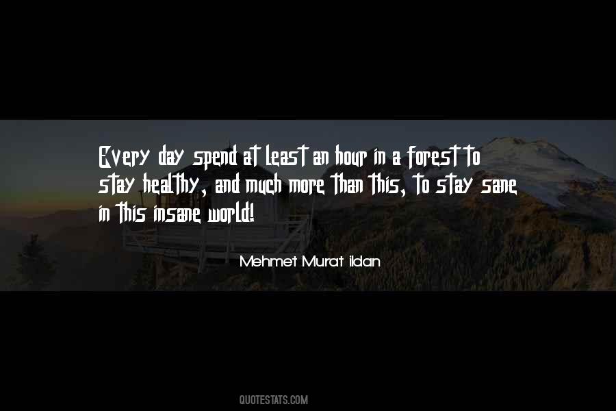 Stay Fit And Healthy Quotes #288205