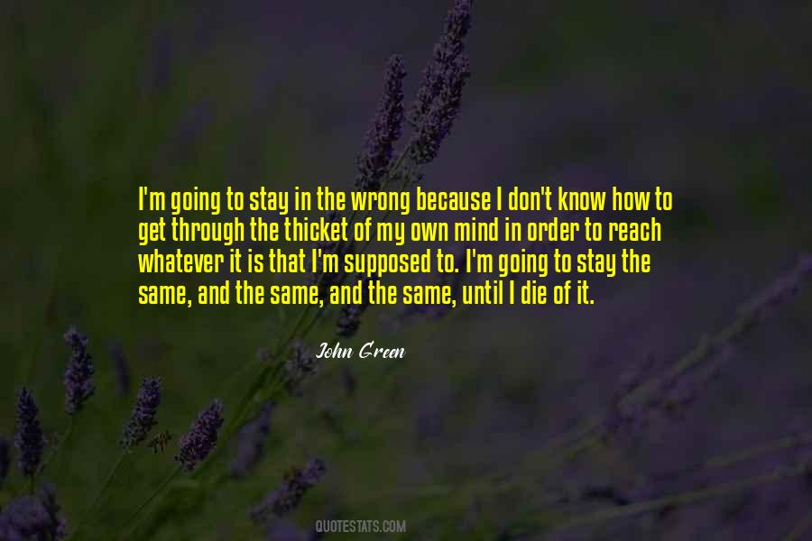 Stay Out Of My Mind Quotes #345750