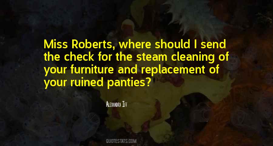 Steam Cleaning Quotes #1436079