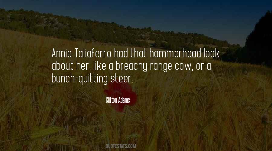 Steer Quotes #1217287