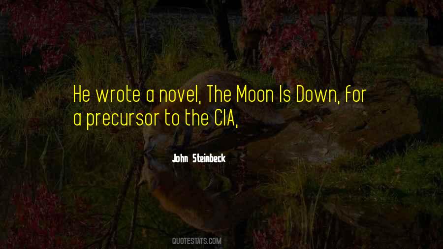 Steinbeck John Quotes #55299