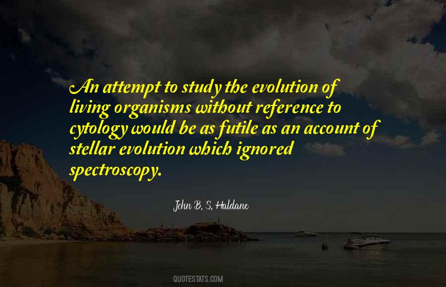 Stellar Evolution Quotes #1181607