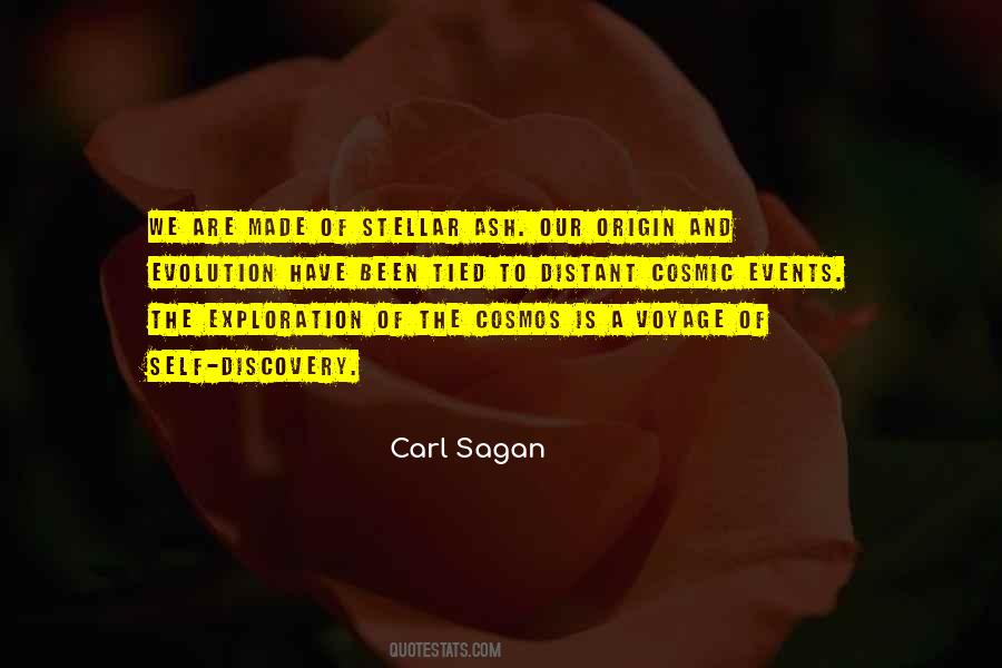 Stellar Evolution Quotes #604483