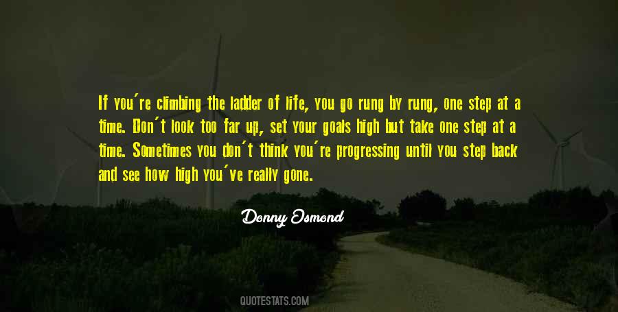 Step Ladder Quotes #1248381