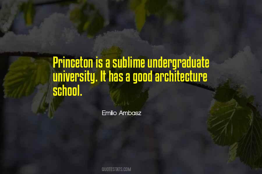 Quotes About Princeton University #1306984
