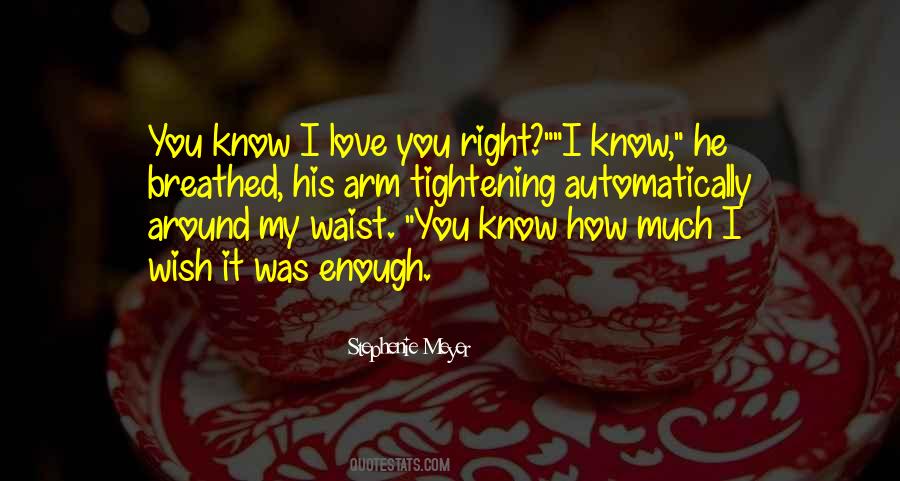 Stephenie Meyer Love Quotes #901770