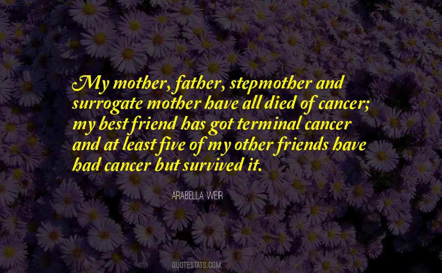 Stepmother Quotes #352841