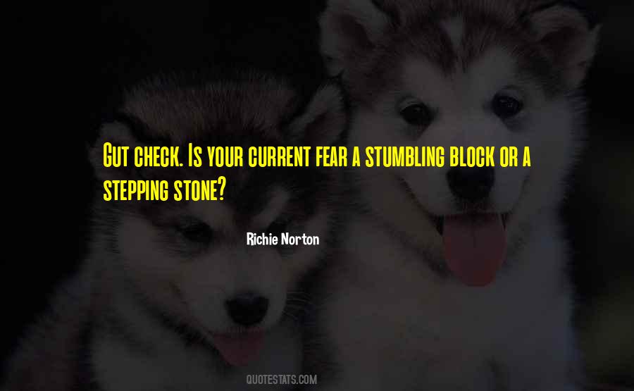 Stepping Stone Quotes #792739