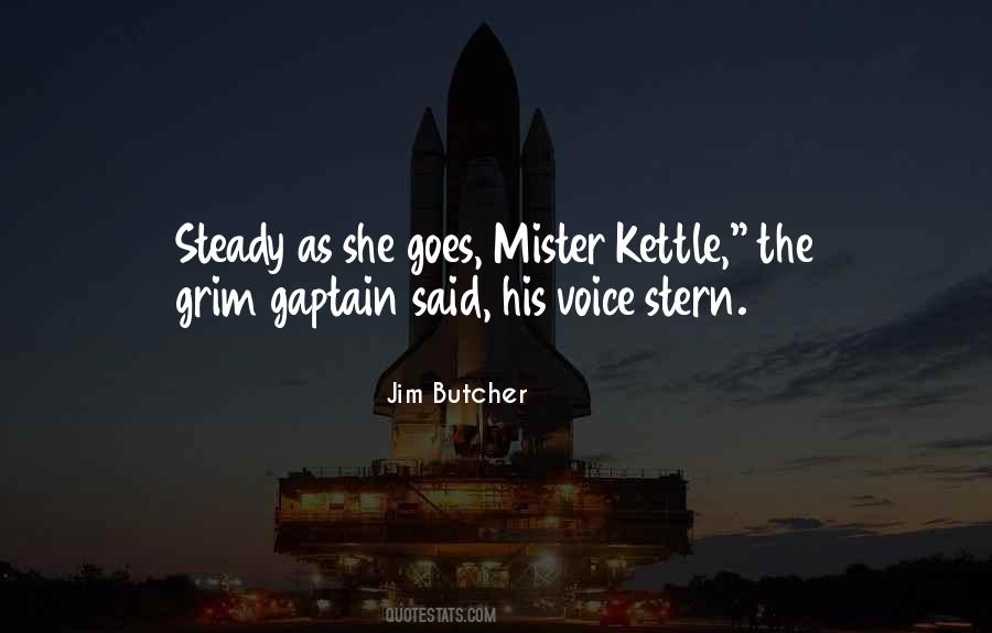 Stern Quotes #1189686