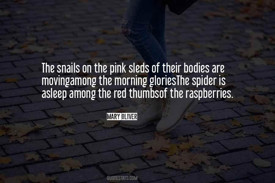 Steve Cook Motivational Quotes #1621880