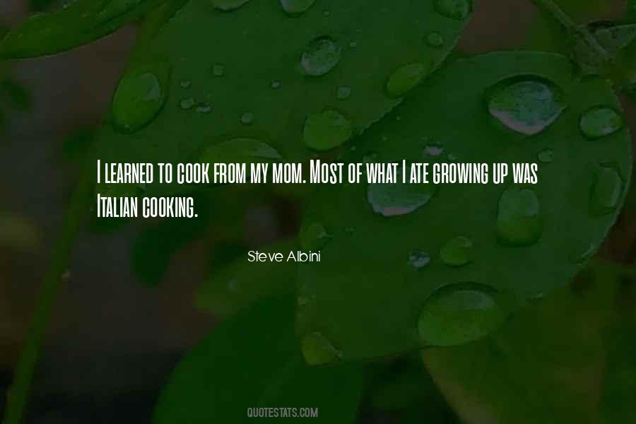 Steve Cook Quotes #543817