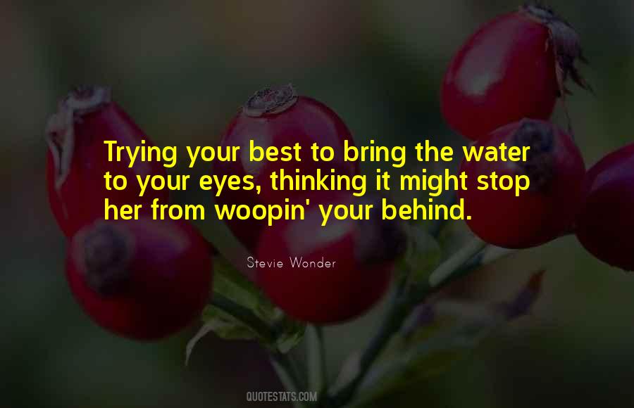 Stevie Wonder's Quotes #472178