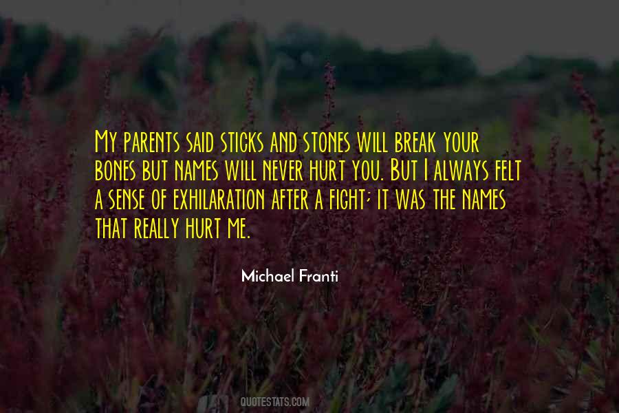 Sticks Stones Quotes #157326